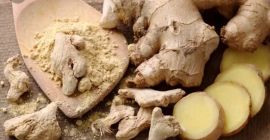 Frisch oder getrocknet in Tonnen verkauft