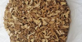 Ingwer. geschnittenes Produkt. 6mm frischer Schnitt. Dörrgerät trocknen. Temperatur