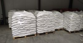 I will sell wholesale quantities of dwarf beans 100/135