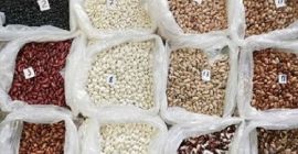 Beans in assortment for sale Sale of beans. Wholesale