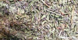 Natürlicher Thymian Kommt mit Qualitätsgarantie Hauptlieferant Von hundert Kilogramm
