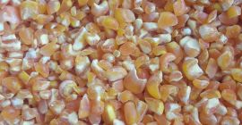 Rich in high quality vitamins Pure natural Bags Organic