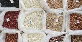 Wholesale of beans. Different types of beans in the