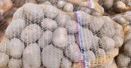 Продајем јестиви кромпир, сорта денар, у џаковима од 15
