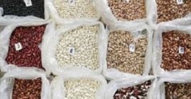 Bohnen im Sortiment. Bohnen aus ukrainischen Feldern Wir bieten