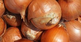 Shipment from 20 tons Bulb onions in restaurants, cafes,