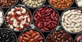 Пасуљ на велико са испоруком из Украјине Велепродаја пасуља.