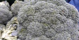 each pcs of Brocoli are 500 gram between 1