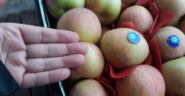 Fuji Apple Ecological #Mr. Orhan Veli K.# #sales(add)karakaslar(dot)net# #Mob/Whatsapp:+