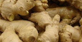 Frischer Ingwer aus Madagaskar (BIO) Größe: 50, 60,70,80,100 g