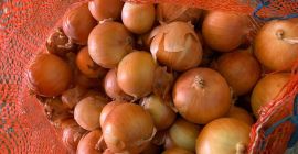 Bulb onions, great for cooking in restaurants, cafes, catering.