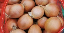 Bulb onions, great for cooking in restaurants, cafes, catering.