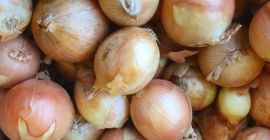 Bulb onions, great for cooking in restaurants, cafes, catering.