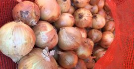 Bulb onions, great for cooking in restaurants, cafes, catering.