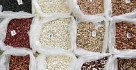 Verkauf von Bohnen. Lieferung aus der Ukraine. Wir bieten