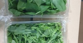 WhatsApp 3332290153 as you are interested