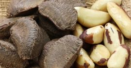 Mandula, kesudió, pisztácia, mogyoró, bételdió, mogyoró, brazil dió, pekándió,