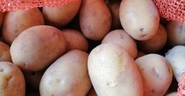 Vendo circa 70 tonnellate di patate da consumo, calibro
