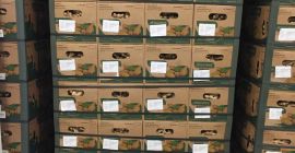 Ich werde frischen Ingwer erster Klasse verkaufen, verpackt in