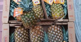 Bună ziua, Lime 4kg-18 PLN Mandarină 10kg-27 PLN Lămâie