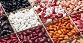 Bohnen kaufen. Bohnen im Großhandel verkaufen. Wir bieten an,