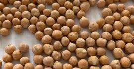 I will sell chickpeas and chopped chickpeas (half chickpeas)