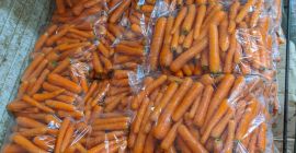 Продаваме пресни моркови първа класа опаковани в найлонови торбички