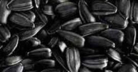 I am selling large quantities of organic soy products