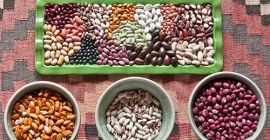 We sell beans with delivery from Ukraine The Ukrainian