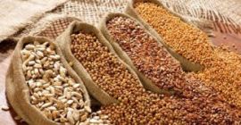 I buy beans, flax, sorghum, millet. - flax brown,