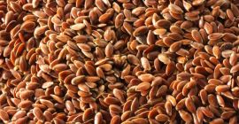 SELL DRIED OIL PLANTS OIL PLANTS FLAX, PRICE - AGRICULTURAL ADVERTISEMENTS, Agro-Market24