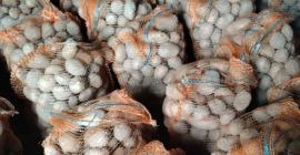 Voi vinde cartofi, soi Vineta si Lavanda in cantitati