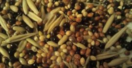 I will buy beans, flax (brown, golden), sorghum, millet.