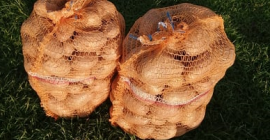 Vendo patate ovation confezionate in sacchi da 15 kg