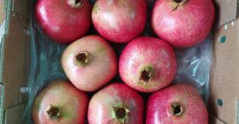 Pomegranate wonderful from Peru Calibers: 9 - 18 Boxes
