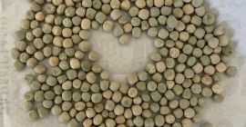 I will sell seeds of dried green peas. Germination