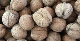 Ще купя цял орех от 500кг. Цял орех от