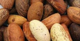 Sehr geehrte Damen und Herren, wir beliefern Sie mit