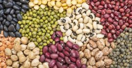 Фасоль оптом. Продажа фасоли. Компания Бинс Натур Продукт реализует