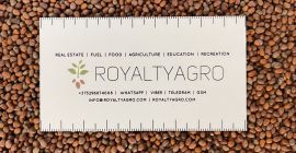 Also available radish 105 tons in Big Begach, Belarus