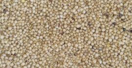 I will sell red sorghum 200 tons. Packed in