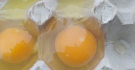 Hallo! Ich verkaufe Sahneeier aus Freilandhaltung 1A, 1B. Hühner