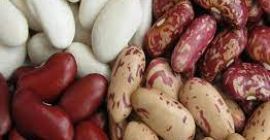 Wholesale Ukrainian beans. Delivery to Europe, Asia, Georgia, Russia.