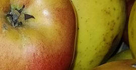Renet-Apfel zu verkaufen! Ich verkaufe Äpfel der Sorte Renet