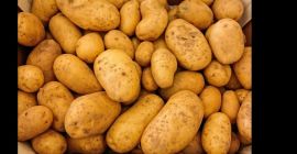 Продај кромпир. Цца 30.до Цена и количина по договору.