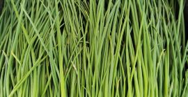 Voi vinde arpagic subtire la greutate, cantitate si pret