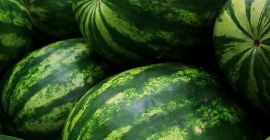 Ich werde eine Wassermelone kaufen, Marktqualität