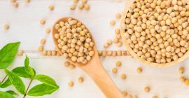 THE SPECIFICATIONS: SOYBEAN GMO Moisture content: 14% max. Organoleptic: