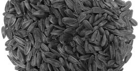 Typical Odor Odourless, no foreign odours Color Black –