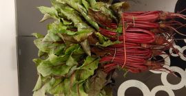 Здраво, продајем велике количине ботвинке. Тел.604 611 399